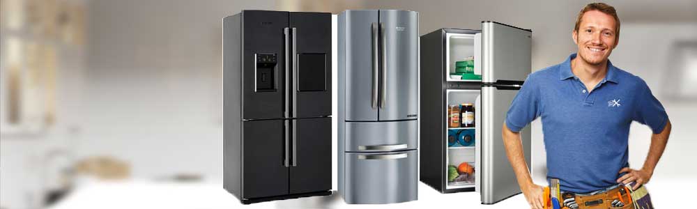 Почему холодильник перевозят вертикально?